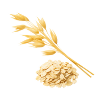 <strong>Oat Extract</strong>
