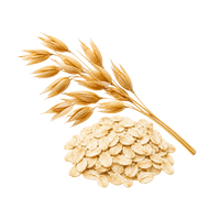 <strong>Oat Extract</strong>