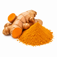 <strong>Turmeric Root Extract</strong>